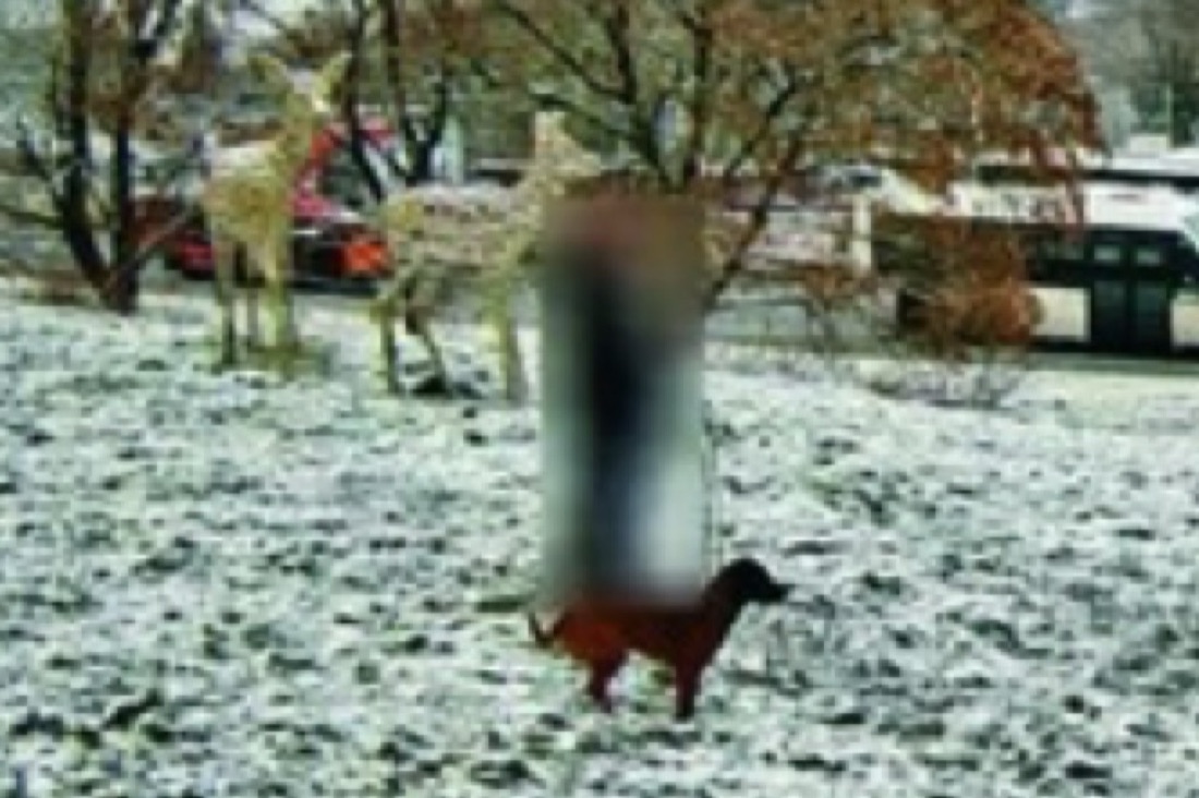 Vergrößerter Ausschnitt aus dem Live-Bild: die Person ist automatisch verpixelt, während Hund, Umgebung und Schneelage klar erkennbar bleiben.